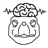 Student Organization