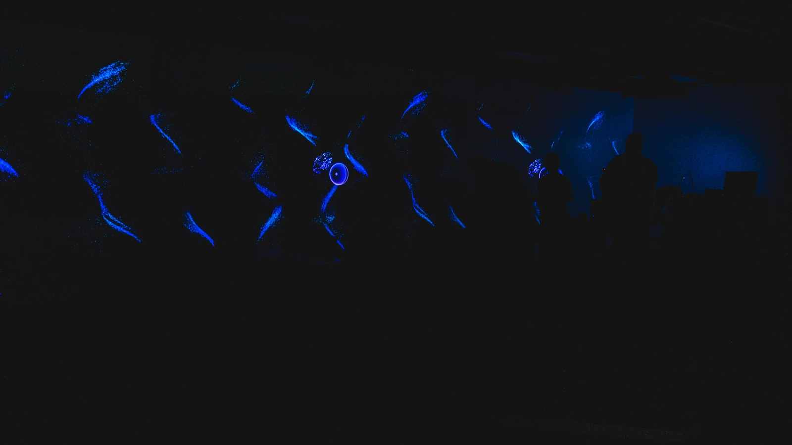 Visitors exploring an immersive room filled with blue projected light.